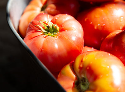Summer Tomatoes Elevated: Olive Oil, Balsamic & Sunshine